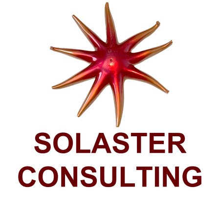 SOLASTER_CONSULTING_no_back